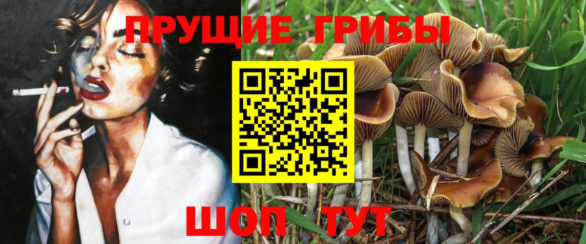 магазин  наркотиков  Псилоцибиновые грибы прущие грибы  Галлюциногенные грибы ЛСД  Вход с VPN  Феодосия 