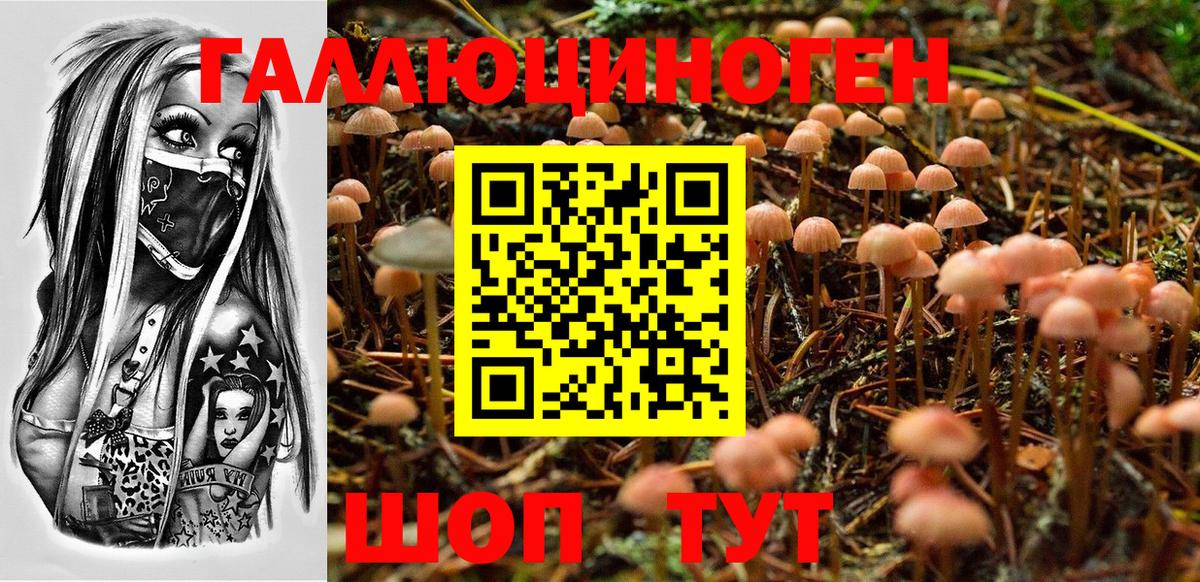 Галлюциногенные грибы Psilocybe Феодосия